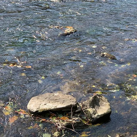 Nad Dunajcem Tylmanowa